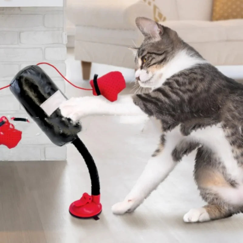 Cat Boxing Game